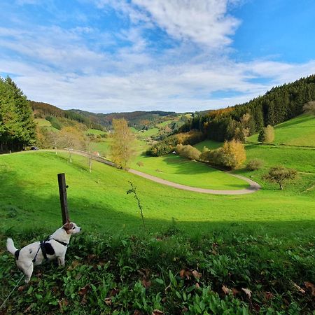 Am Siegelbaechle -2 Mit E-Bikes Vermietung Siegelau Bagian luar foto